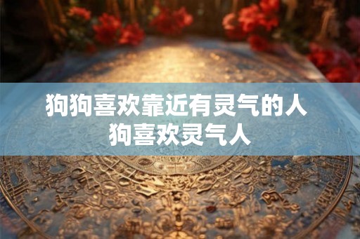 狗狗喜欢靠近有灵气的人 狗喜欢灵气人