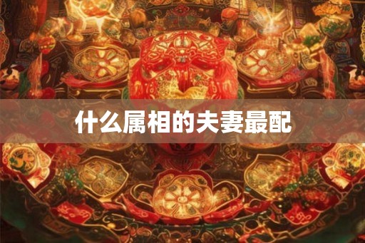 什么属相的夫妻最配