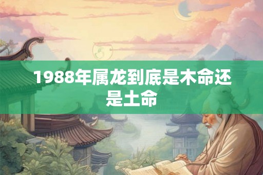 1988年属龙到底是木命还是土命