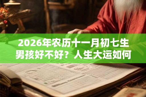 2026年农历十一月初七生男孩好不好?人生大运如何? 2026年农历十一月初七生男孩好不好?人生大运如何?