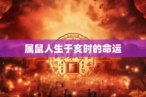 属鼠人生于亥时的命运