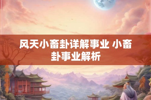 风天小畜卦详解事业 小畜卦事业解析 风天小畜卦详解事业 小畜卦事业解析
