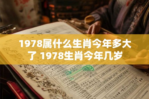 1978属什么生肖今年多大了 1978生肖今年几岁