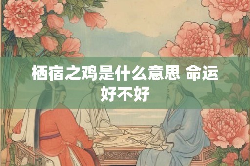 栖宿之鸡是什么意思 命运好不好 栖宿之鸡是什么意思 命运好不好