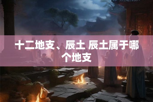 十二地支、辰土 辰土属于哪个地支