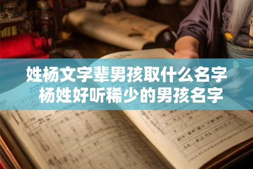 姓杨文字辈男孩取什么名字  杨姓好听稀少的男孩名字