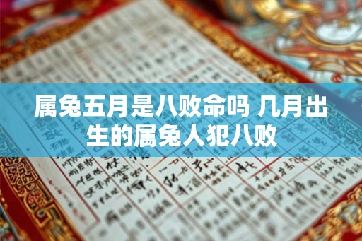 属兔五月是八败命吗 几月出生的属兔人犯八败