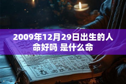 2009年12月29日出生的人命好吗 是什么命