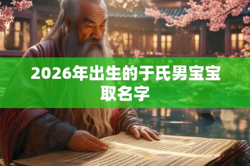 2026年出生的于氏男宝宝取名字