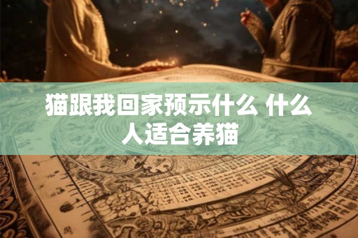 猫跟我回家预示什么 什么人适合养猫
