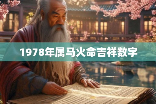 1978年属马火命吉祥数字