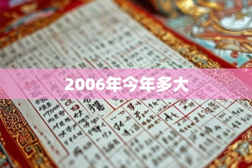 2006年今年多大