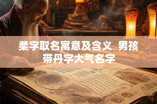 柔字取名寓意及含义  男孩带丹字大气名字