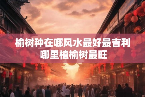 榆树种在哪风水最好最吉利 哪里植榆树最旺