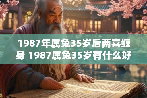 1987年属兔35岁后两喜缠身 1987属兔35岁有什么好运