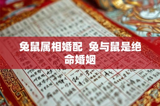 兔鼠属相婚配  兔与鼠是绝命婚姻