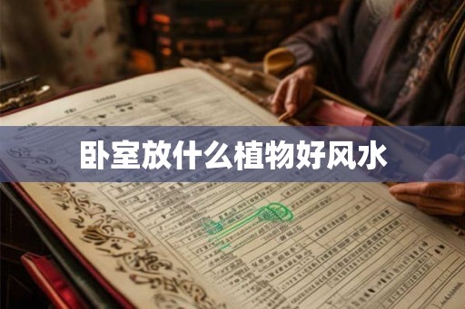 卧室放什么植物好风水 卧室放什么植物好风水