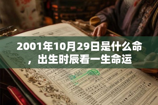 2001年10月29日是什么命，出生时辰看一生命运