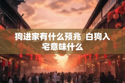 狗进家有什么预兆  白狗入宅意味什么