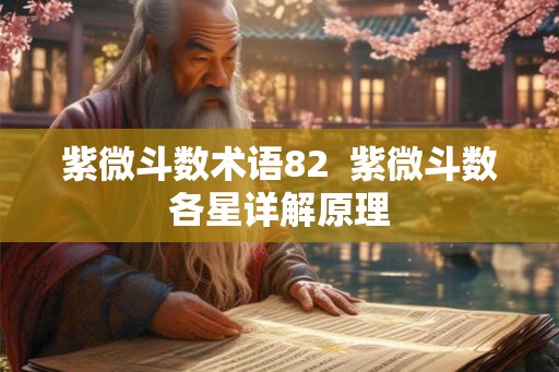 紫微斗数术语82  紫微斗数各星详解原理