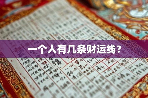 一个人有几条财运线? 一个人有几条财运线?