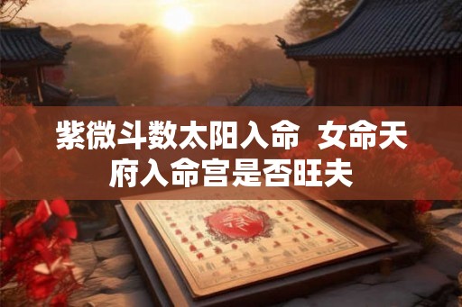 紫微斗数太阳入命  女命天府入命宫是否旺夫