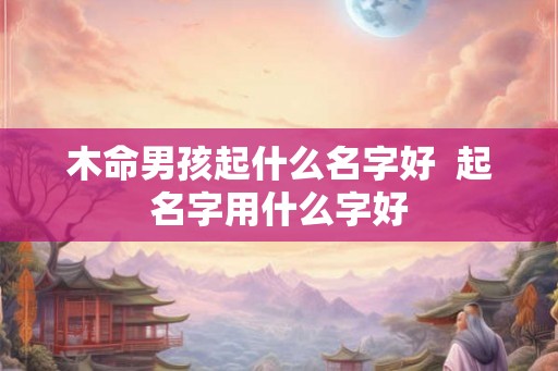 木命男孩起什么名字好  起名字用什么字好