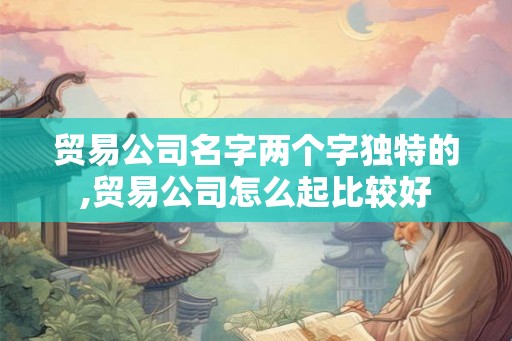 贸易公司名字两个字独特的,贸易公司怎么起比较好