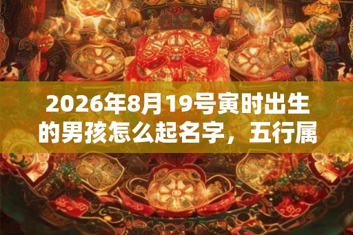 2026年8月19号寅时出生的男孩怎么起名字，五行属什么