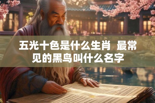 五光十色是什么生肖 最常见的黑鸟叫什么名字 五光十色是什么生肖 最常见的黑鸟叫什么名字