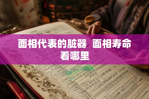 面相代表的脏器  面相寿命看哪里