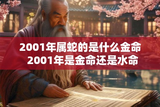 2001年属蛇的是什么金命  2001年是金命还是水命