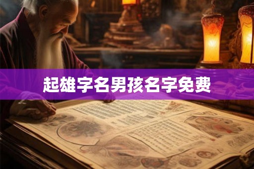 起雄字名男孩名字免费