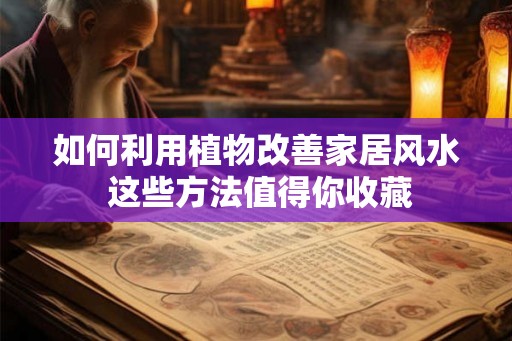 如何利用植物改善家居风水 这些方法值得你收藏