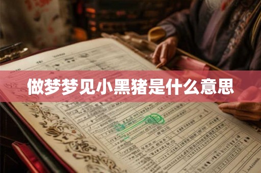 做梦梦见小黑猪是什么意思