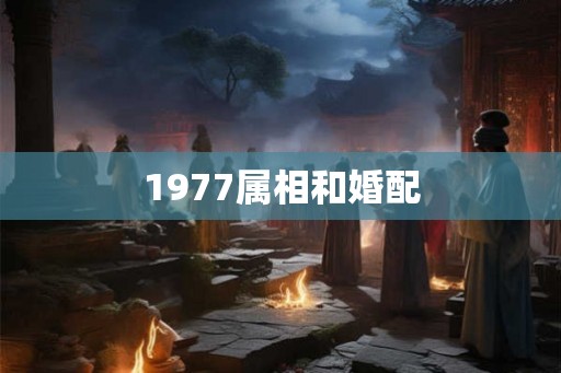 1977属相和婚配