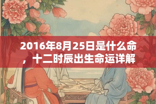 2016年8月25日是什么命,十二时辰出生命运详解 2016年8月25日是什么命,十二时辰出生命运详解