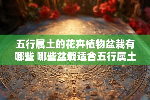 五行属土的花卉植物盆栽有哪些 哪些盆栽适合五行属土的花植