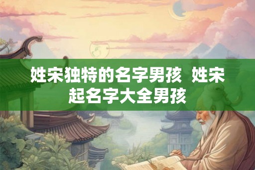 姓宋独特的名字男孩  姓宋起名字大全男孩