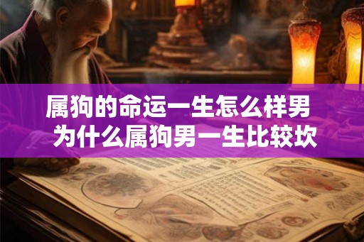 属狗的命运一生怎么样男  为什么属狗男一生比较坎坷