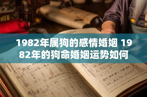 1982年属狗的感情婚姻 1982年的狗命婚姻运势如何