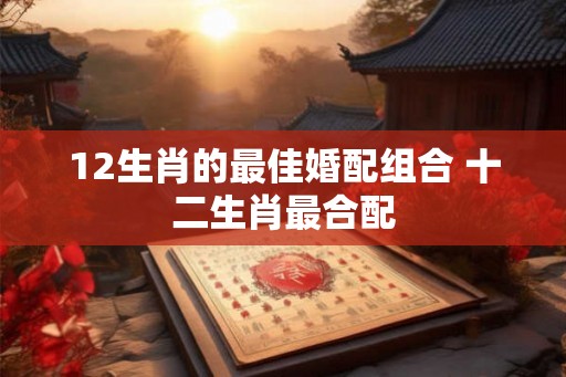 12生肖的最佳婚配组合 十二生肖最合配