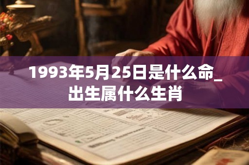 1993年5月25日是什么命_出生属什么生肖