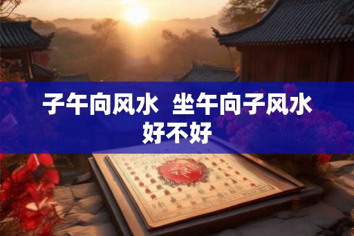 子午向风水  坐午向子风水好不好