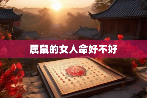 属鼠的女人命好不好 属鼠的女人命好不好