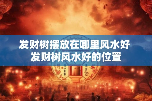 发财树摆放在哪里风水好 发财树风水好的位置