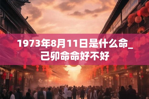 1973年8月11日是什么命_己卯命命好不好