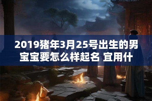 2019猪年3月25号出生的男宝宝要怎么样起名 宜用什么字