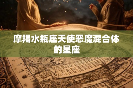 摩羯水瓶座天使恶魔混合体的星座