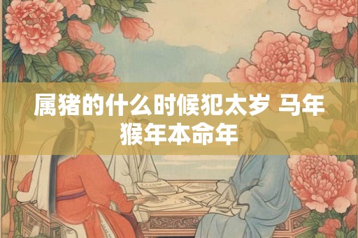 属猪的什么时候犯太岁 马年猴年本命年